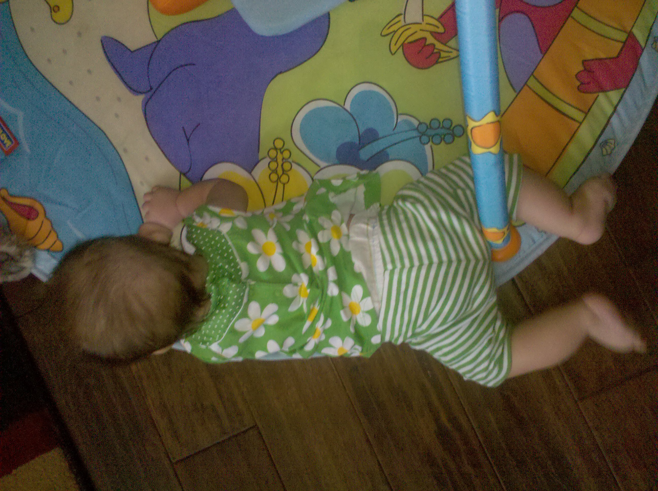 Tom Riles LIfeof Dad Scoot