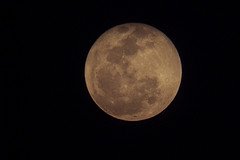 Moon - Tom Riles Life of Dad Night Times