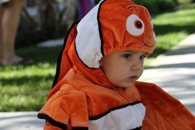 babsnemo400