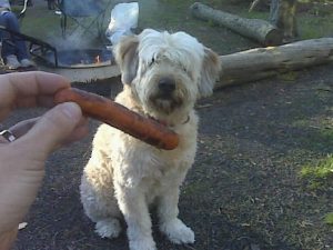 Bo Hot Dog