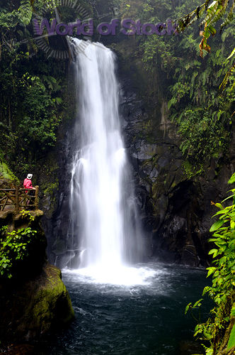 rainforest waterfall - tom riles - life of dad- funny baby videos