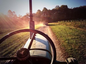 Tractor at Butler's Orchard