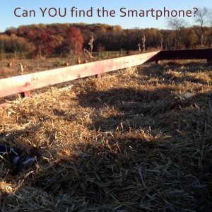 Can YOU find the smartphone in the haystack?