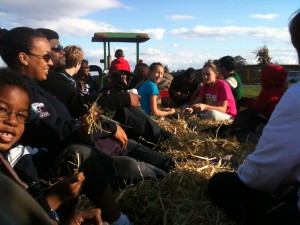 Hayrides at Butler's Orchard