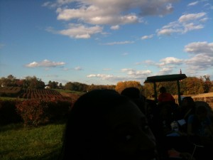 Hayrides at Butler's Orchard