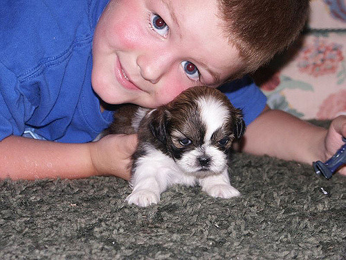 Kids and pets_dog_life of Dad