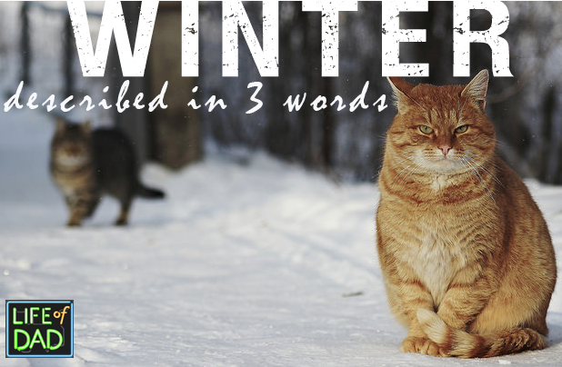 Winter Cat title image