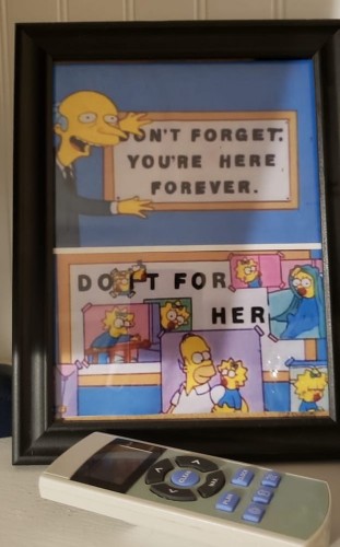 Framed-homer