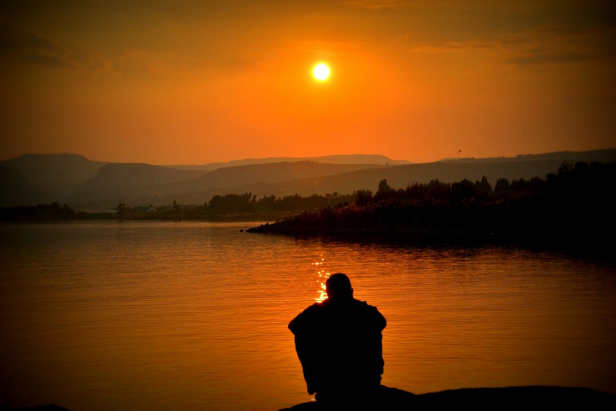 contemplate