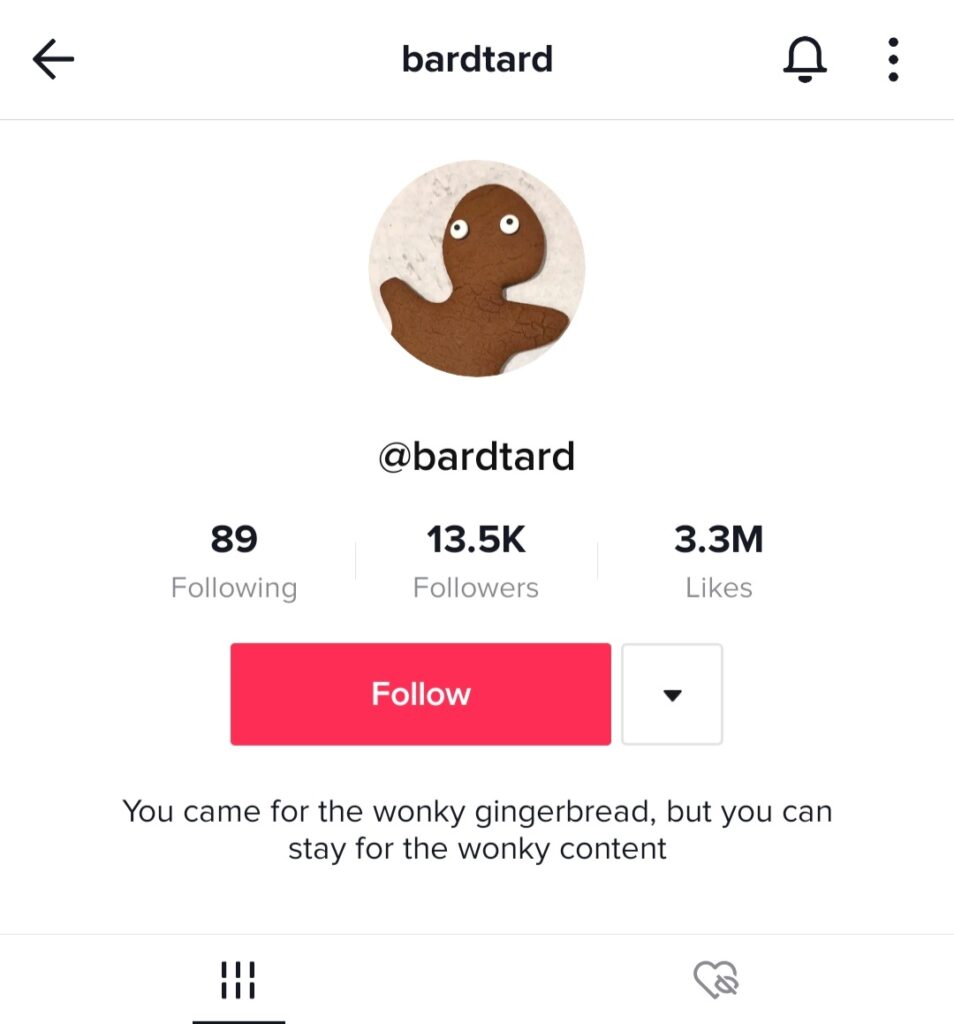 TikTok/bardtard