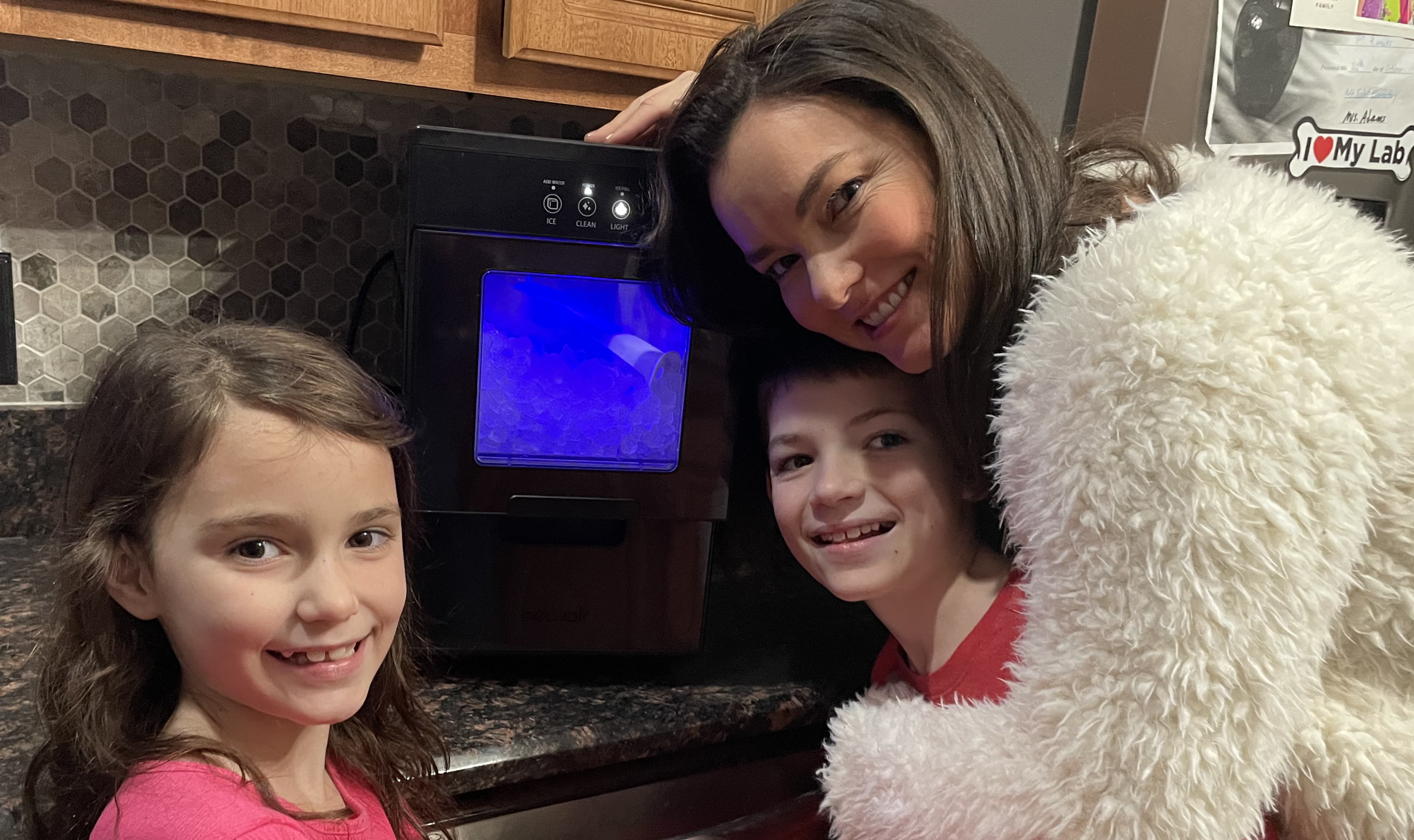 The Cool Gift That Keeps Giving - NewAir Countertop Nugget Ice Maker  (NIM044BS00) - Life of Dad